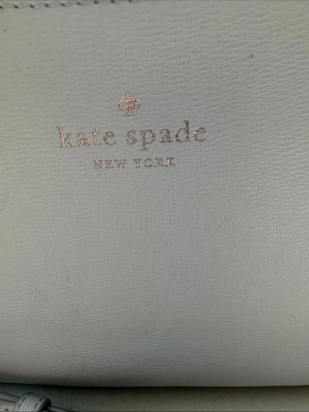 kate spade Light Blue Gray Leather Zip Crossbody EUC